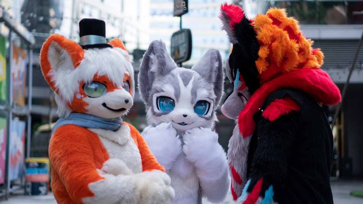 solobewolf's tweet photo. #FursuitFriday 开心的毛五时刻又���了，图中毛毛：P1左：小伊；中：银杏；右：我自己；摄影：风云小Q https://t.co/Li2ZzRGbKX