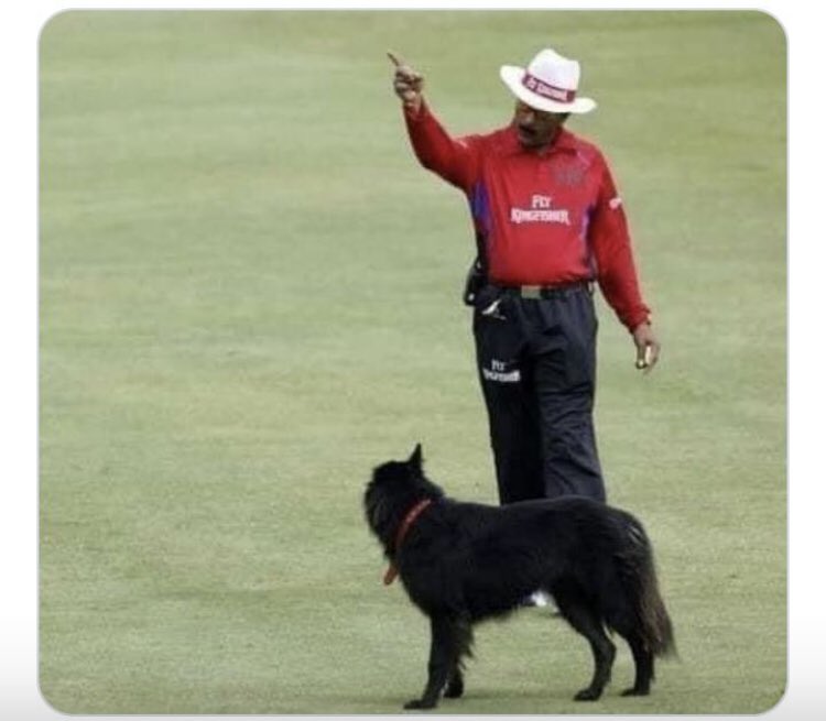 SyedDanishAlvi's tweet image. Go Imran Go
#GoImranGo #ImranKhanDisqualified #PakistanZindabad 
@ImranKhanPTI