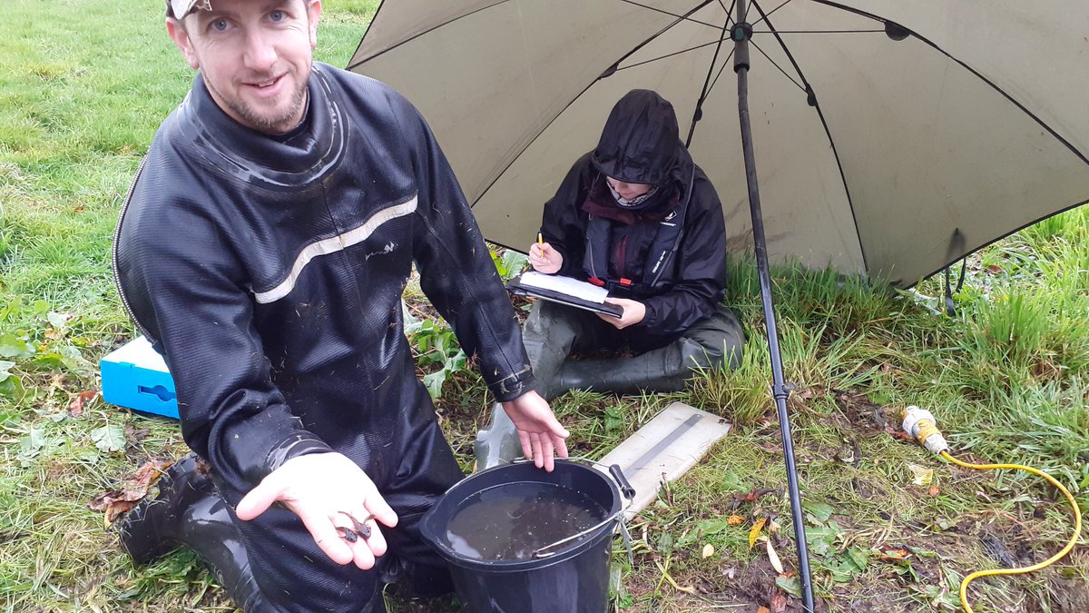 River Mease Catchment tweet media