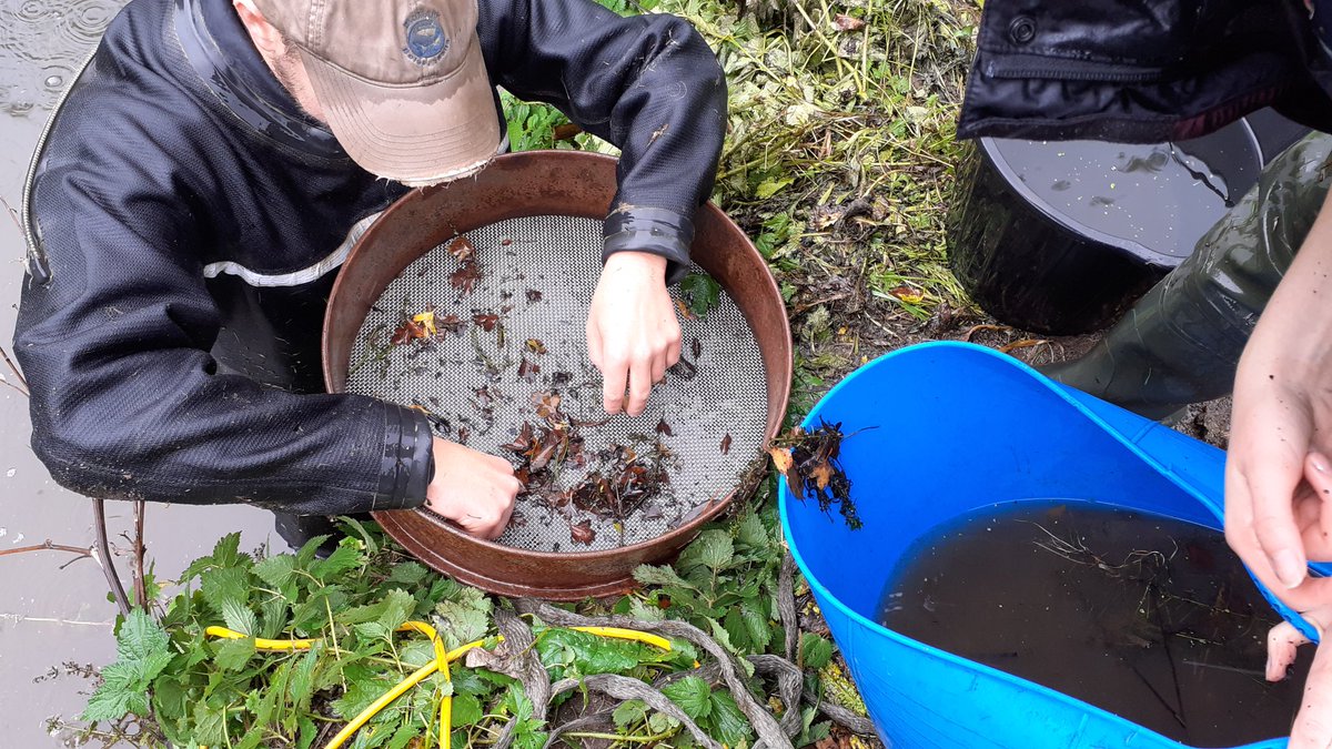River Mease Catchment tweet media