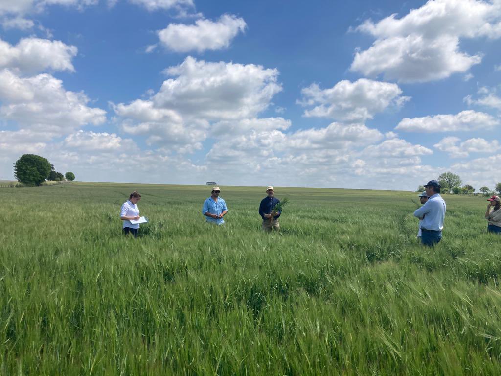 Hoy tuvimos nuestra jornada de campo en Mercedes.
Gracias a todos!
🌾🔀🍻