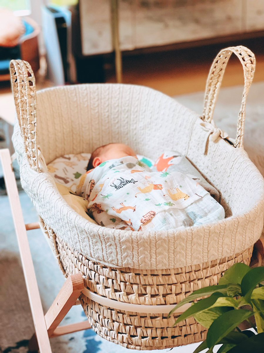 💙Clare Siobhán💙 on Twitter "something about babies being in moses