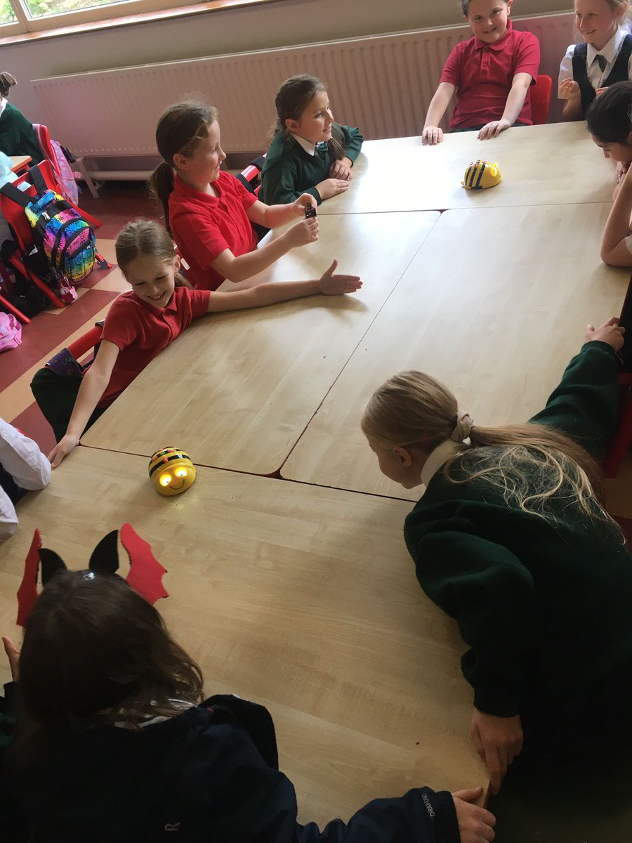 stbrigids_gns's tweet image. Second Class, Room 7 were practicing their programming skills using the Bee-Bots this week 🐝🖥️ @mathsweek #mathsweek2022 #IUseMaths