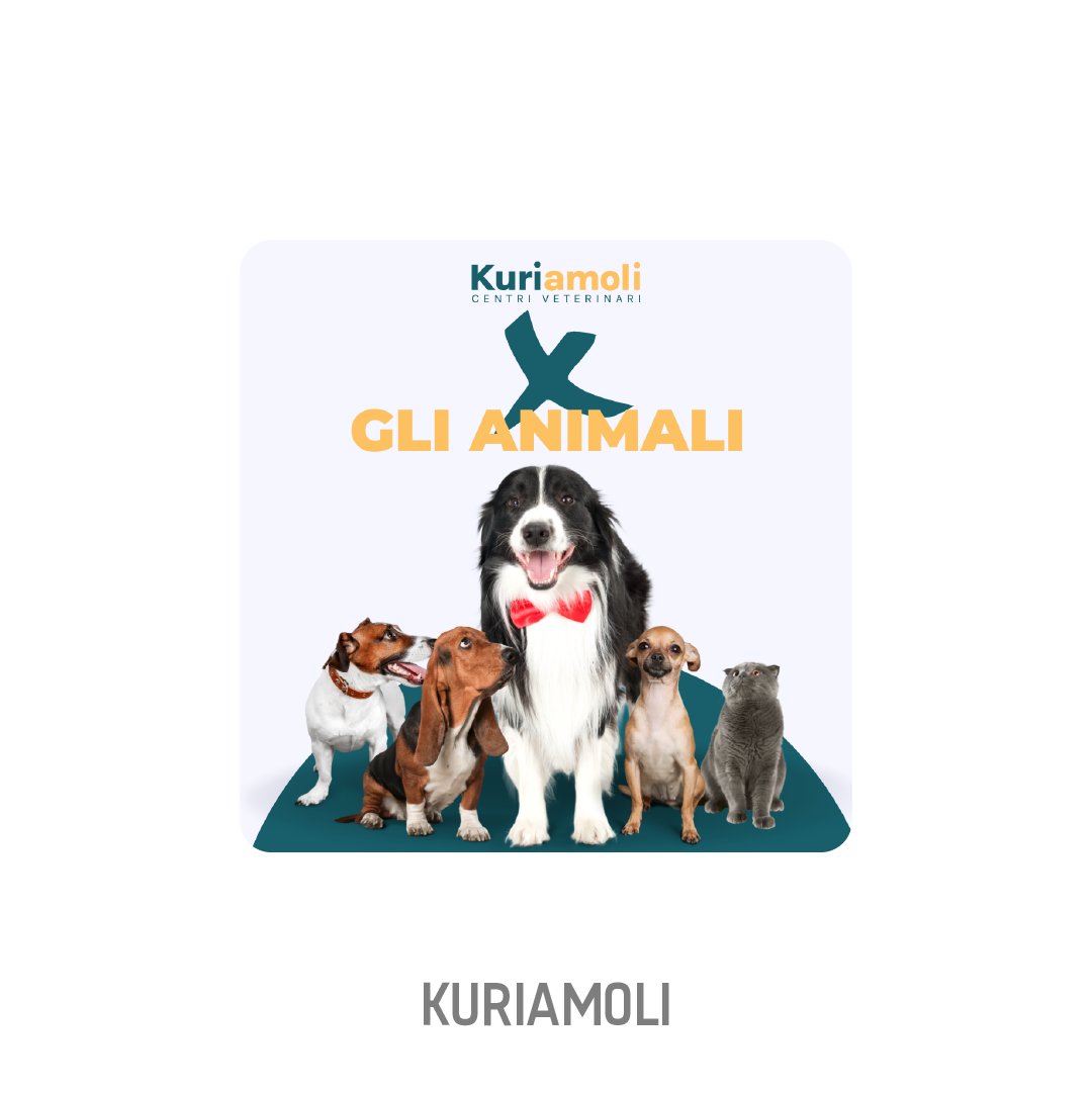 🔹Amalix 
04 sottoscrizioni; 00 da finalizzare; 8.500€
#startup  #equity #crowdfunding 
starsup.it/offerte/amalix…