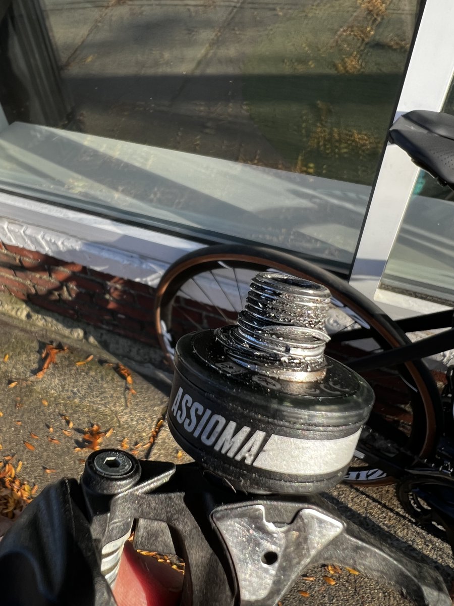 Sam Rosenholtz (Blue Checkmark) tweet media