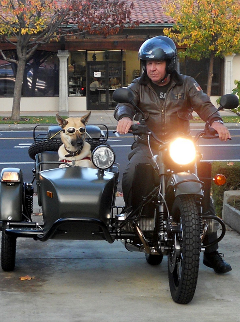 Biker Network Mx tweet media