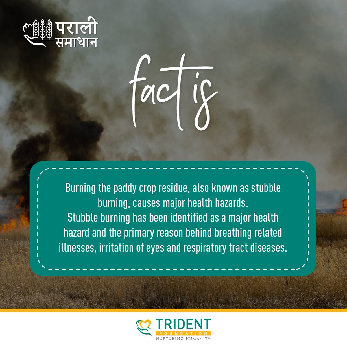 TridentCares's tweet photo. #ParaliBurning is an issue that our farmers & #society deal with at this time of the year. There are plenty of myths attached with the subject. #TridentFoundation has a small exercise in our quest to increase #awareness related to the issue.
#parali #stubbleburning https://t.co/UvX4r9ijW0