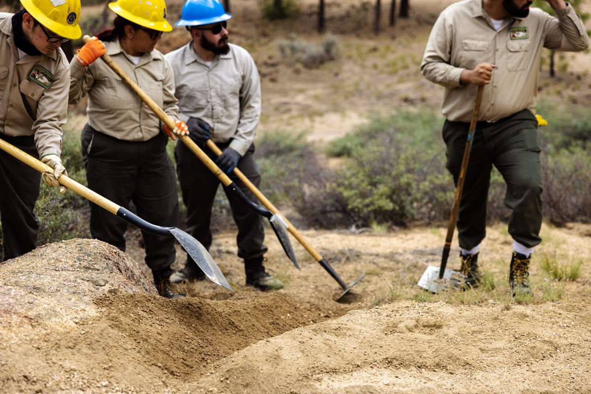 The VF Foundation tweet media