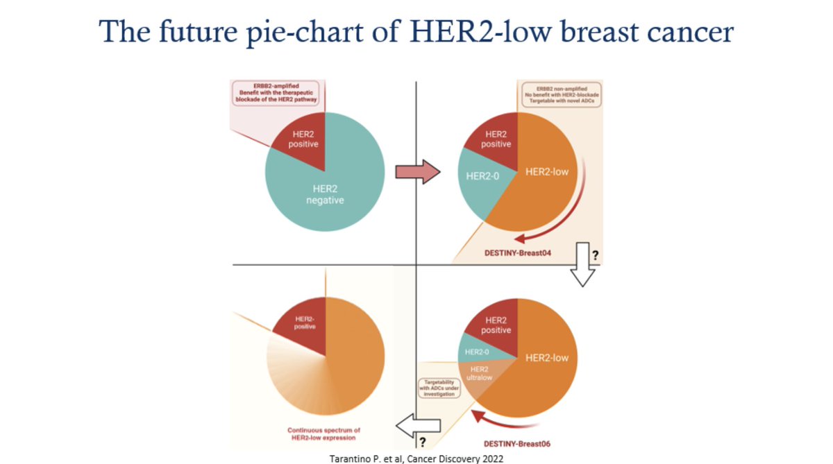 LIVE at Athenian Onology Congress🇬🇷 #3rdAOC @PTarantinoMD 🇮🇹 HER2⃣low is NOT🚫a new subtype of #BreastCancer It's a targetable🎯subgroup which T-DXd is a new standard of care option‼️ ✅Better HER2⃣assays could expand the targetable pie-chart of HER2 ✅Expanding ADC benefits