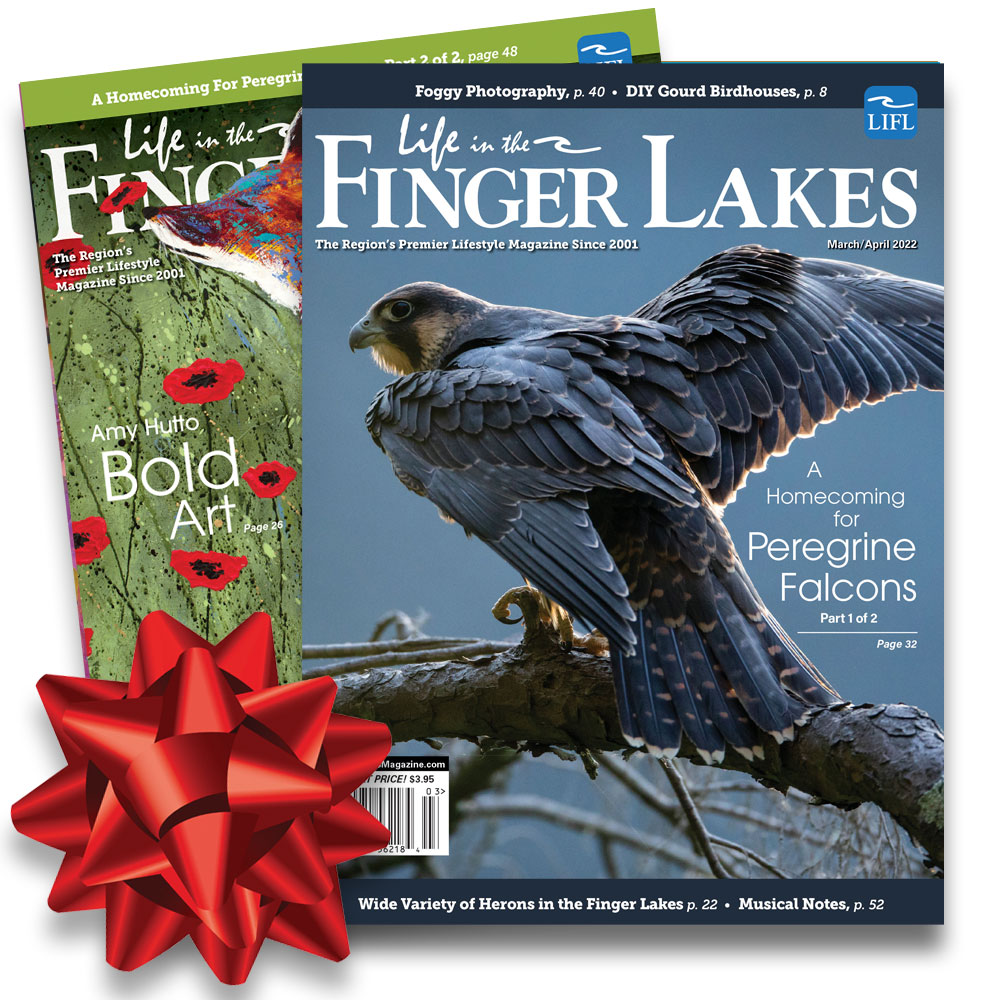 Save on the best gift for the holidays for people who LOVE the Finger Lakes Region!
Now through December 25, 2022

Step 1: simplecirc.com/give_a_gift/li…
Step 2: Select Give a Gift
Step 3: Apply Promo Code: Gift22

#liflmag
#fingerlakesmag
#fingerlakes
#flx