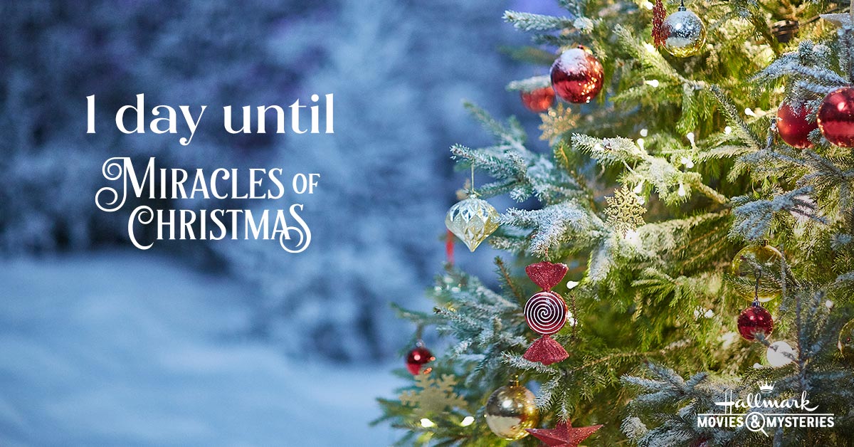 Hallmark Movies & Mysteries on Twitter "TFW MiraclesOfChristmas