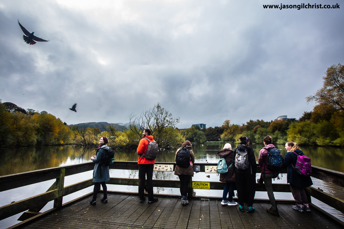 jgilchrist13's tweet photo. MSc Wildlife Biology & Conservation, Lochend fieldtrip, Edinburgh, Scotland, today. Collecting behavioural ecology data on ecological niche of waterbirds. Also pigeons! #ecology #waterbirds #MSc #Edinburgh #EdinburghNapierUniversity #EdinburghNapier #Lochend #Edinburgh #Scotland https://t.co/wUFuWRU1uN