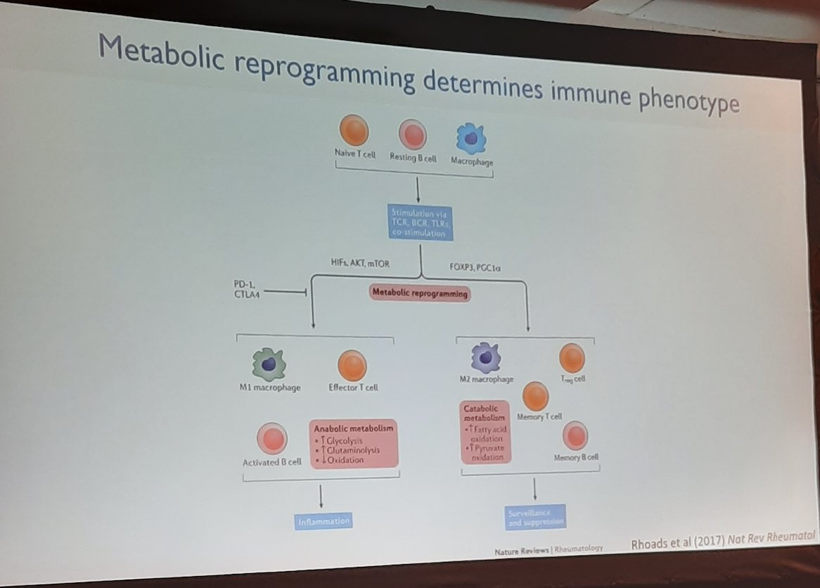 How does diet and metabolism impact immunity and inflammation? @mdkornberg presents on proof-of-concept studies in humans for pharmacologically targeting metabolism to treat autoimmunity #CSDAandPSF