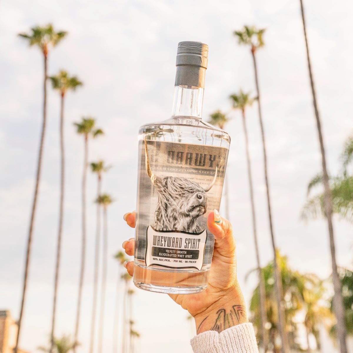 VFInsights's tweet photo. Meet this yr's @realcalifmilk finalist: Emily Darchuk of @WheywardSpirit, a versatile, sippable, and sustainable 80-proof specialty spirit made from upcycled CA whey. Learn more: https://t.co/O1xL087poZ #rcmexcelerator #realcaexcelerator #accelerator #Dairy #venturewheyward https://t.co/tm8Rj3GVSB
