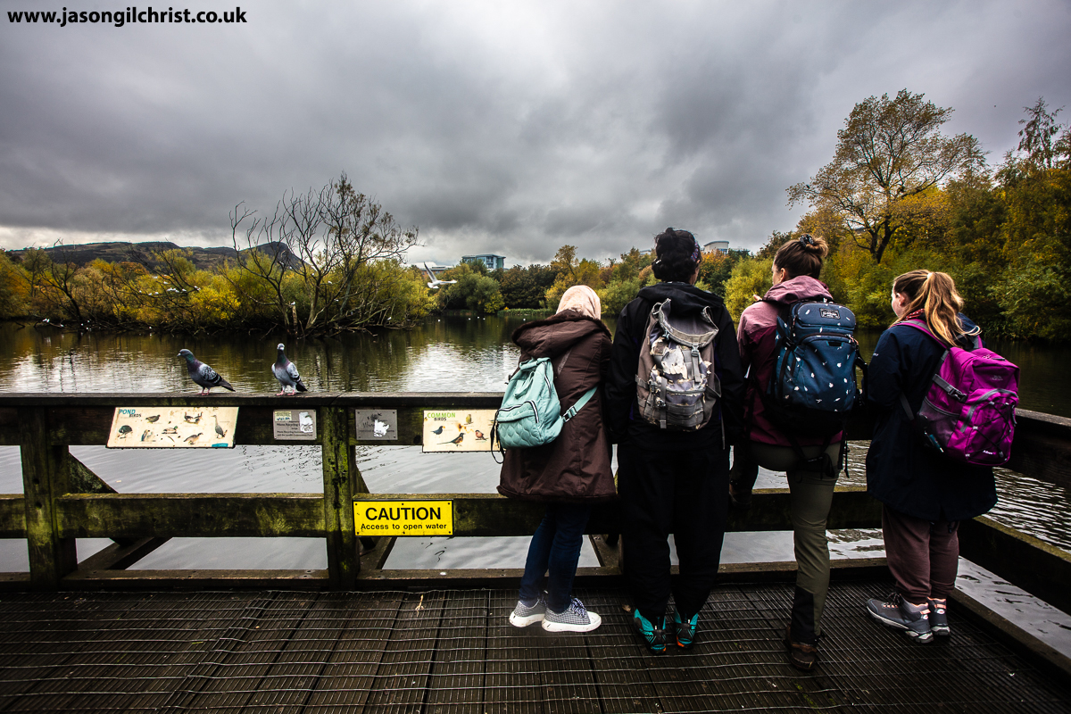 jgilchrist13's tweet photo. Spot the pigeons! MSc Wildlife Biology & Conservation, Lochend fieldtrip, Edinburgh, Scotland. Behavioural ecology data collection on waterbirds. #ecology #waterbirds #wildlife #MSc #Edinburgh #EdinburghNapierUniversity #EdinburghNapier #Lochend #LochendPark #Edinburgh #Scotland https://t.co/n4seQAXAuZ