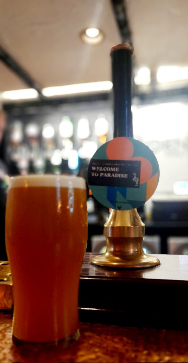 GingRealAleTrail tweet media