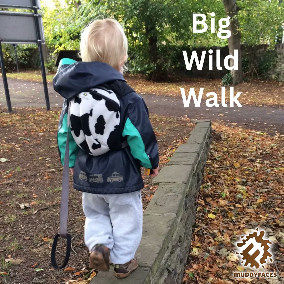 Help the Wildlife Trust tackle the nature and climate emergency and sign up for the Big Wild Walk this half term. Walk 30km over week or take on the Hedgehog Challenge and walk 3km across the week – perfect for young children! #halftermactivity #bigwildwalk @WildlifeTrusts