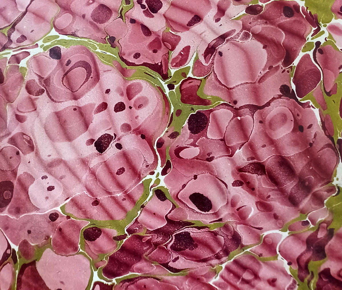 MuntzArchives's tweet photo. This week's marbled endpapers where found in the UT Tyler Special Collections copy of, A Cyclopedia of Costume or Dictionary of Dress Vol. II, written by James Robinson Planché, ESQ (1879). #endoftheweekendpapers #rarebooks #preservation #specialcollections #uttyler #books https://t.co/yQ44YNKq3a
