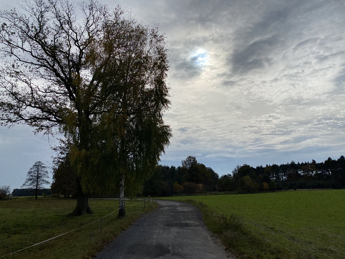 roman_kolek's tweet photo. Piątunio. Czas trochę nadrobić braki biegowe z tygodnia. Trochę wieje!😊 #running #runningforhealth #thursdayrunning https://t.co/1eXomP8sBD