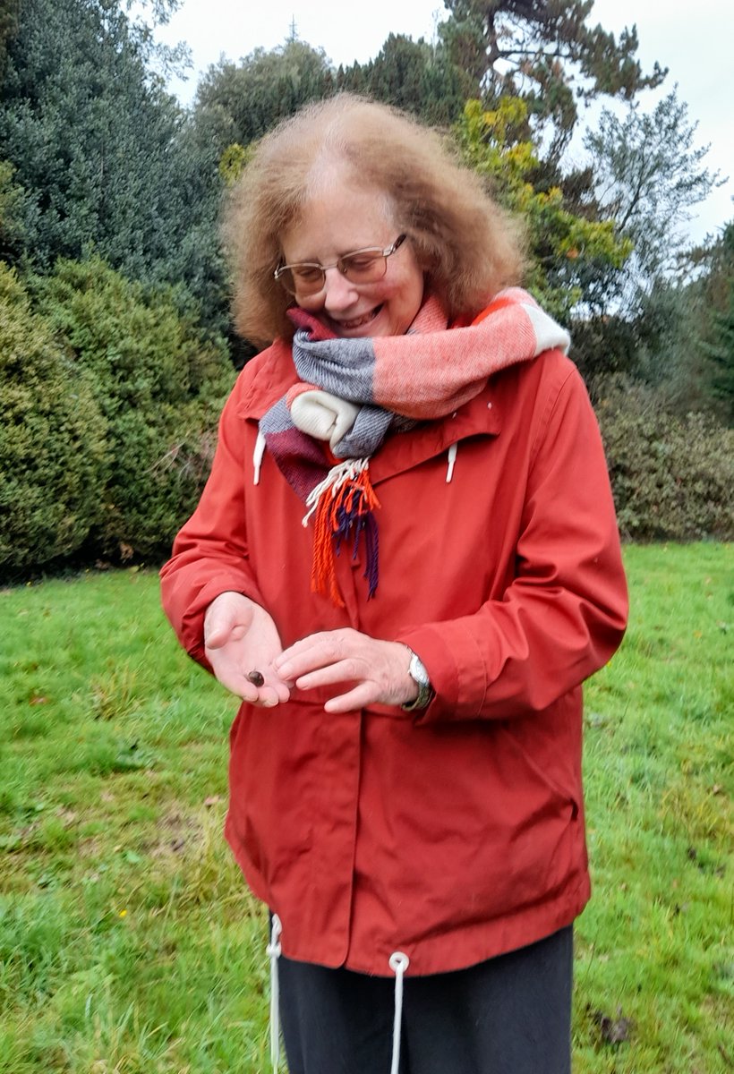 Spotting fabulous fungi in Cathays Cemetery! Wonderful to discuss their importance and the threats they face with @JulieMorganLAB, species champion for waxcaps, this morning. Thank you to @GarethStamp77 for his identification skills & @cardiffcouncil for hosting.