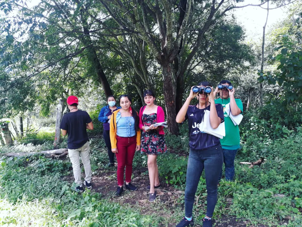 centro_olof's tweet photo. 🎊Estudiantes del Técnico Especialista en Guía de Turista por Espacios Naturales en el Módulo de Inglés reconociendo las partes del binoculares en inglés y los tipos de especies de aves con la actividad de Birdwatching.🎉
#SoyTecNicaragua🇳🇮📚 https://t.co/G9S2TTVTlg