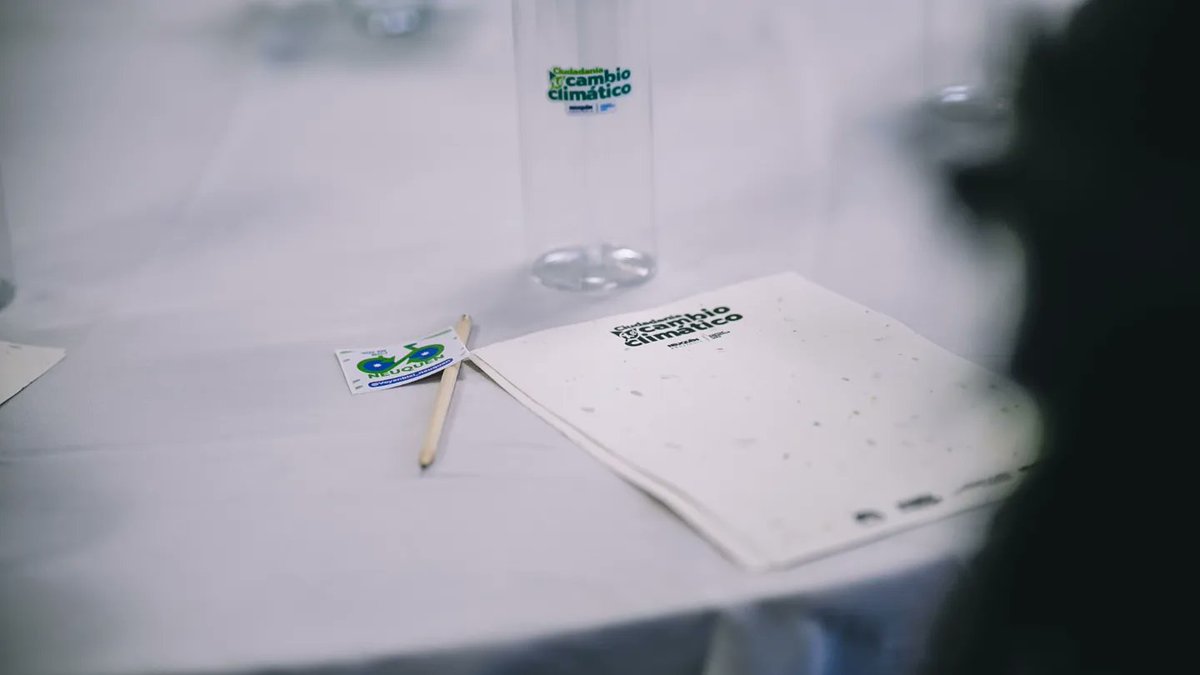 Sofia Sanucci tweet media