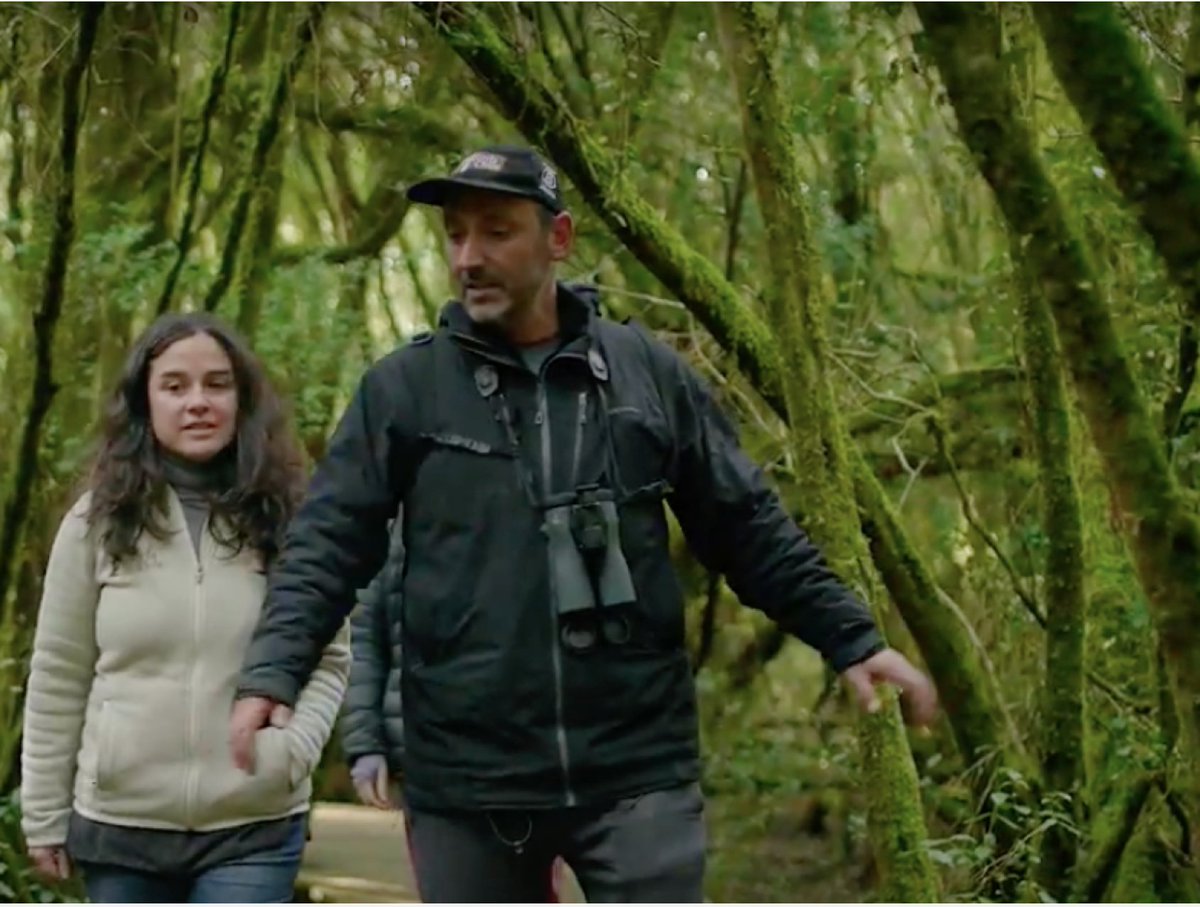 MarcaChile's tweet photo. Desde el sur de Chile les presentamos a @BirdsChile, iniciativa de turismo sustentable creada por Teresa y Raffaele, protagonistas de nuestra nueva campaña #ChileCreatingFuture 🦊🦢🌱.
Descubre cómo ellos están construyendo un mejor futuro para🇨🇱 y el 🌏. https://t.co/1tei4ykXTp https://t.co/8qvX2kXaKM