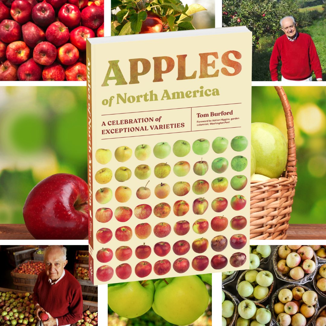 Fables Books - Shop Indie (@fablesbooks) on Twitter photo Happy #NationalAppleDay! Interested in learning more about the vast variety of apples here in North America? Grab a copy of Apples of North America: A Celebration of Exceptional Varieties by Tom Burford, published by <a href="/timberpress/">Timber Press</a>. fablesbooks.com/Apples Happy #NationalAppleDay! Interested in learning more about the vast variety of apples here in North America? Grab a copy of Apples of North America: A Celebration of Exceptional Varieties by Tom Burford, published by <a href="/timberpress/">Timber Press</a>. fablesbooks.com/Apples