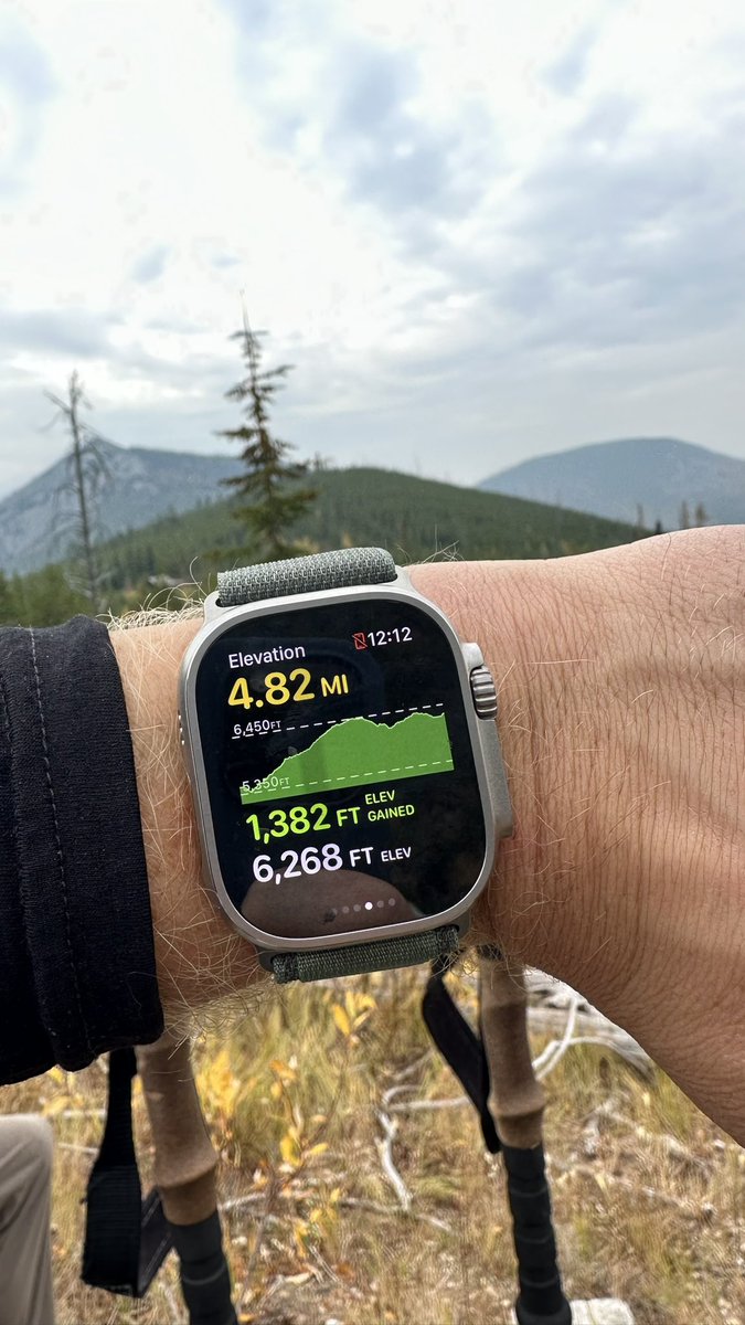 Stephen Johnson tweet media