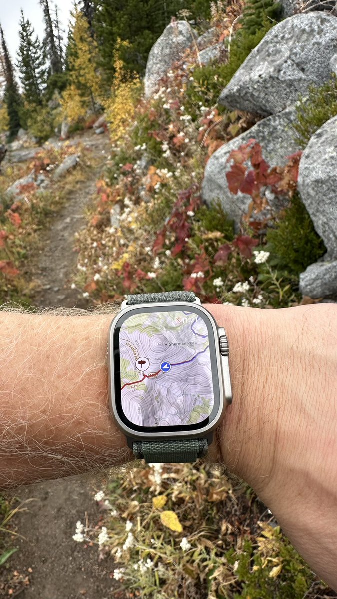 Stephen Johnson tweet media