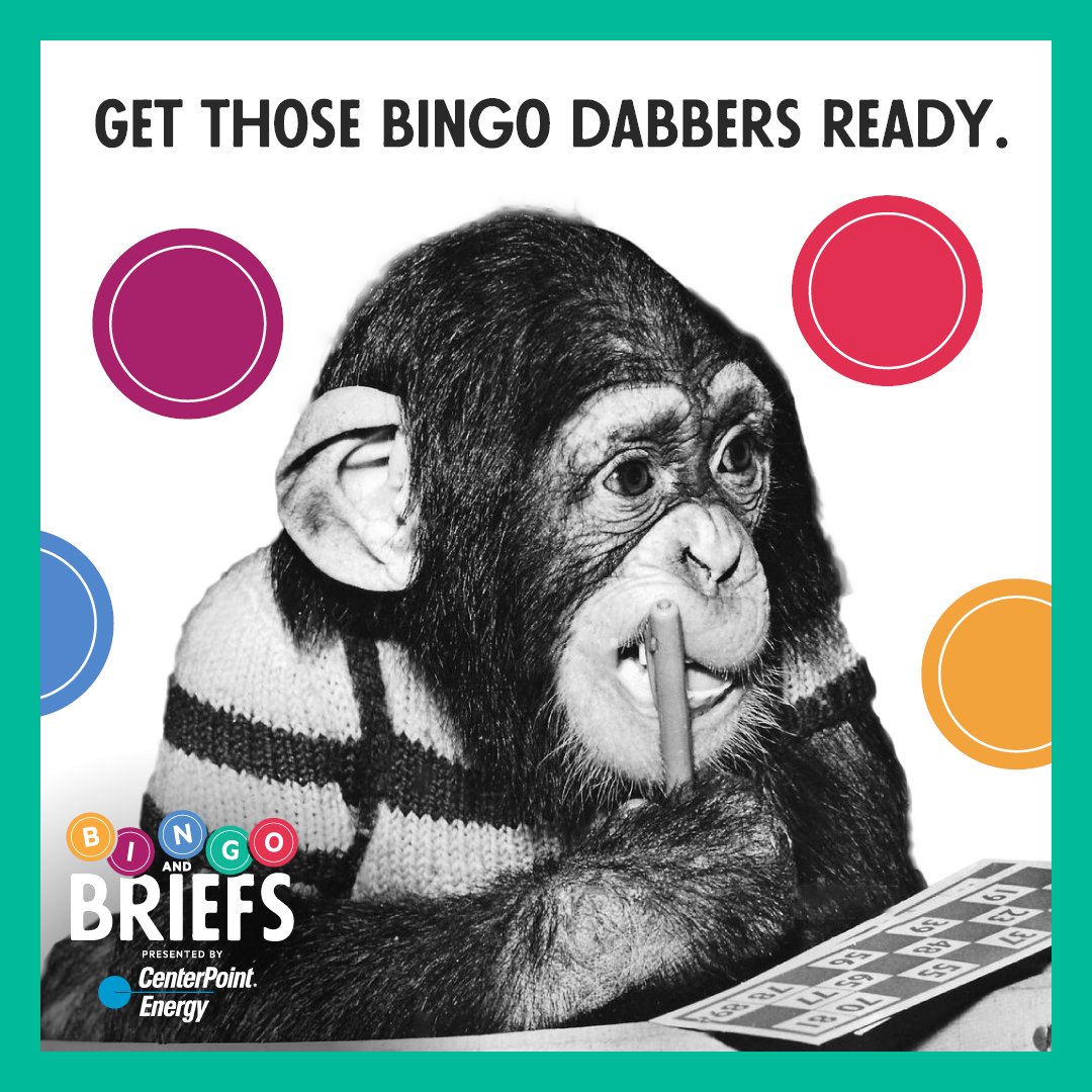 Get those bingo dabbers ready. Bingo and Briefs is THIS Sunday. Don't have tickets? Not a problem...we have a few left just for you.

Can't make it? It's not too late to grab a raffle ticket for our amazing vacation getaway package. 

bingoandbriefs.org #houston #texas