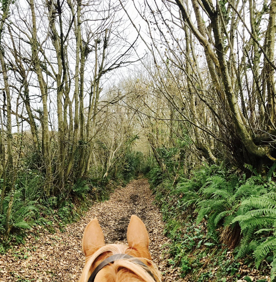 Lucieer07's tweet photo. Pretty chuffed with this!  Embarked on in 2016 and confirmed in 2022, my research and evidence supported this confirmed order for upgrade to restricted byway 🎉 🐎 #restoringtherecord 1 down, thousands to go! #Cornwall https://t.co/wPNm8I5FDn