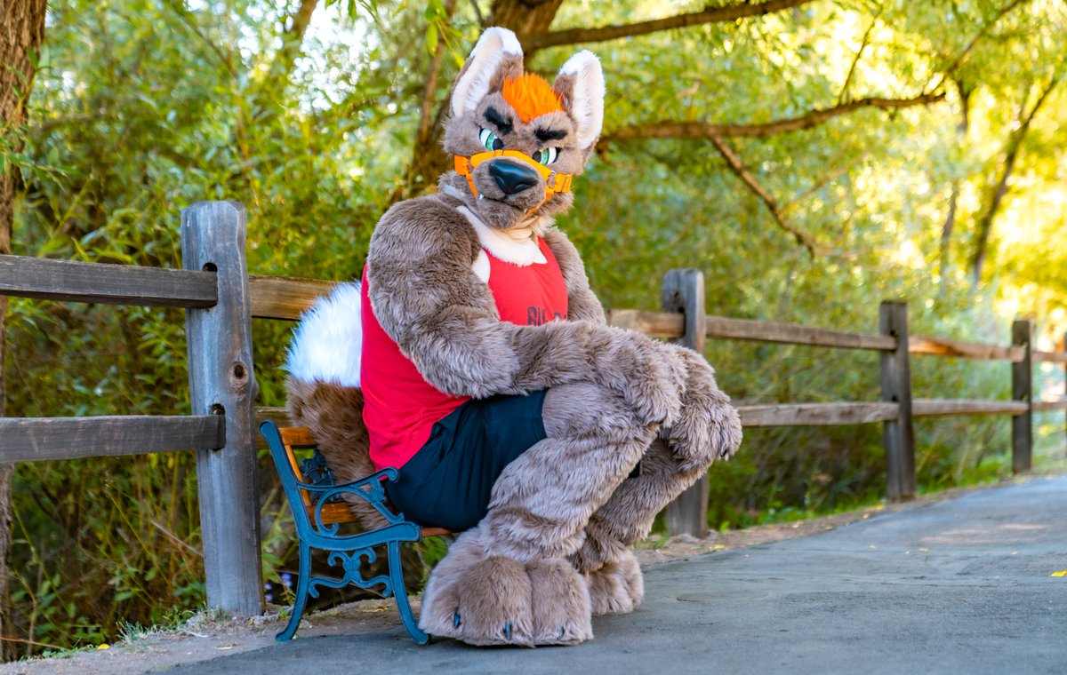 I don't know why I bother waiting for the bus when it's never big enough for me to board. They always make me ride on top. 😩 #FursuitFriday 

📸: <a href="/ChatahSpots/">Ｍｉｇｏ💢🇰🇷FurryJoA</a> 
🪡: <a href="/WaggeryCos/">Waggery Costumes</a>