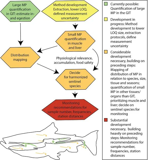 Arctic Science Journal (@arcticsciencej) on Twitter photo A new review on the current microplastic monitoring efforts in the Arctic and where to go next: buff.ly/3TGdIr7 <a href="/bm_hamilton/">Bonnie Hamilton, PhD</a> <a href="/jenni_pro/">Dr. Jennifer Provencher</a> <a href="/sjurdur/">Sjúrður Hammer, PhD 🇫🇴 @sjurdur@ecoevo.social</a>
<a href="/Havforskningen/">Havforskningsinstituttet</a> <a href="/UiB/">Universitetet i Bergen</a> <a href="/eebtoronto/">University of Toronto EEB</a> <a href="/IVLSvenskaMiljo/">IVL</a> <a href="/environmentca/">Environment Canada</a> <a href="/NORCEresearch/">NORCE</a> <a href="/NIVAforskning/">NIVA</a> A new review on the current microplastic monitoring efforts in the Arctic and where to go next: buff.ly/3TGdIr7 <a href="/bm_hamilton/">Bonnie Hamilton, PhD</a> <a href="/jenni_pro/">Dr. Jennifer Provencher</a> <a href="/sjurdur/">Sjúrður Hammer, PhD 🇫🇴 @sjurdur@ecoevo.social</a>
<a href="/Havforskningen/">Havforskningsinstituttet</a> <a href="/UiB/">Universitetet i Bergen</a> <a href="/eebtoronto/">University of Toronto EEB</a> <a href="/IVLSvenskaMiljo/">IVL</a> <a href="/environmentca/">Environment Canada</a> <a href="/NORCEresearch/">NORCE</a> <a href="/NIVAforskning/">NIVA</a>