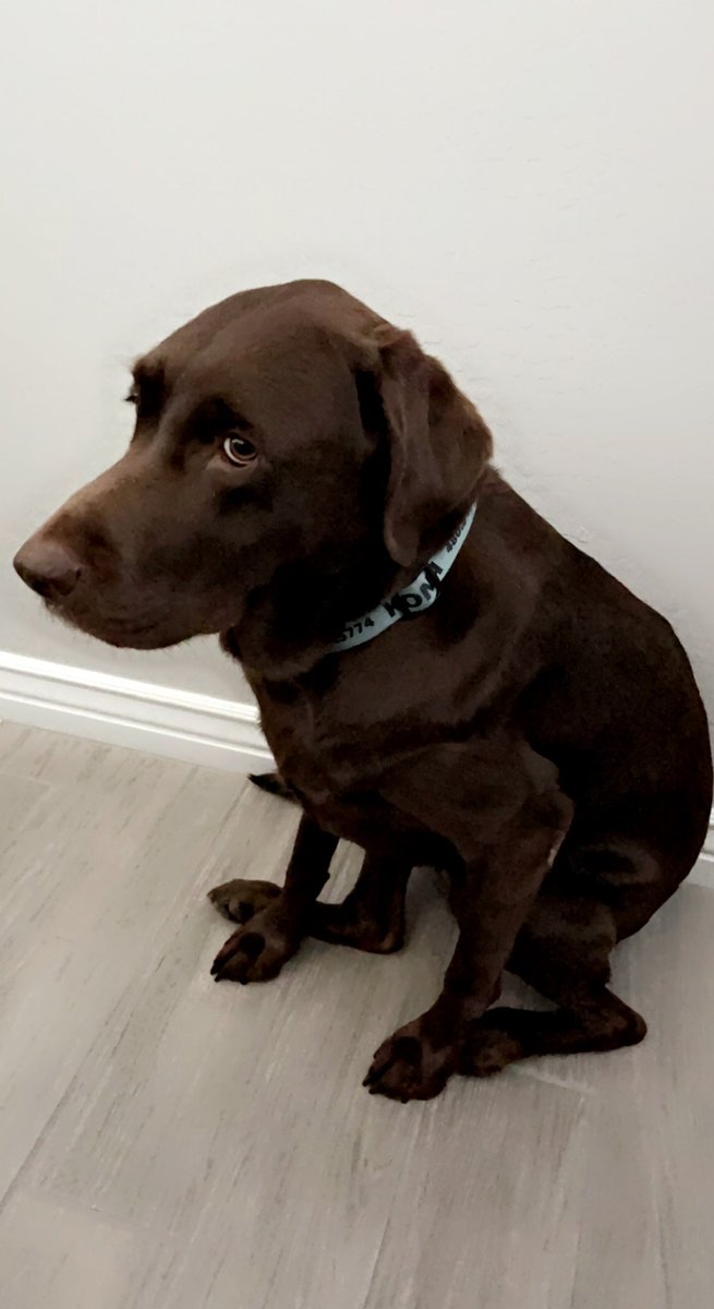 Sad dat it seems like lots of my friends don’t see my posts no more 🙁 I hardly get any likes