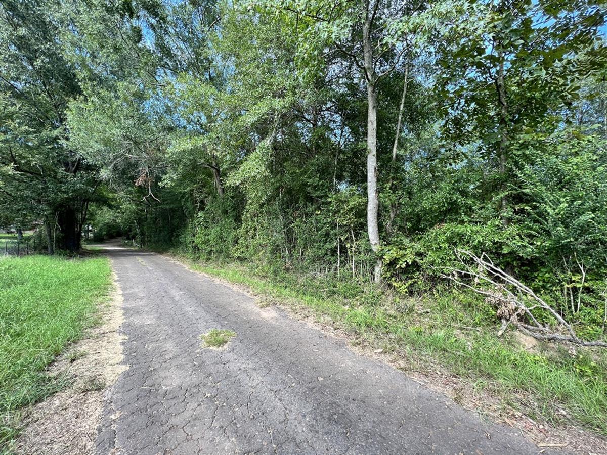 LOTFLIP's tweet photo. Feature #Lot: Enjoy parallel privacy on this 16.96 acres near Garrison, TX. It's the perfect place for a county cabin or manufactured home; set up a travel trailer &amp; use the property for camping. Offered by David Vansteenkiste with Mile High Rural Land. https://t.co/ipeenS4k95 https://t.co/X8Sqf7owzy