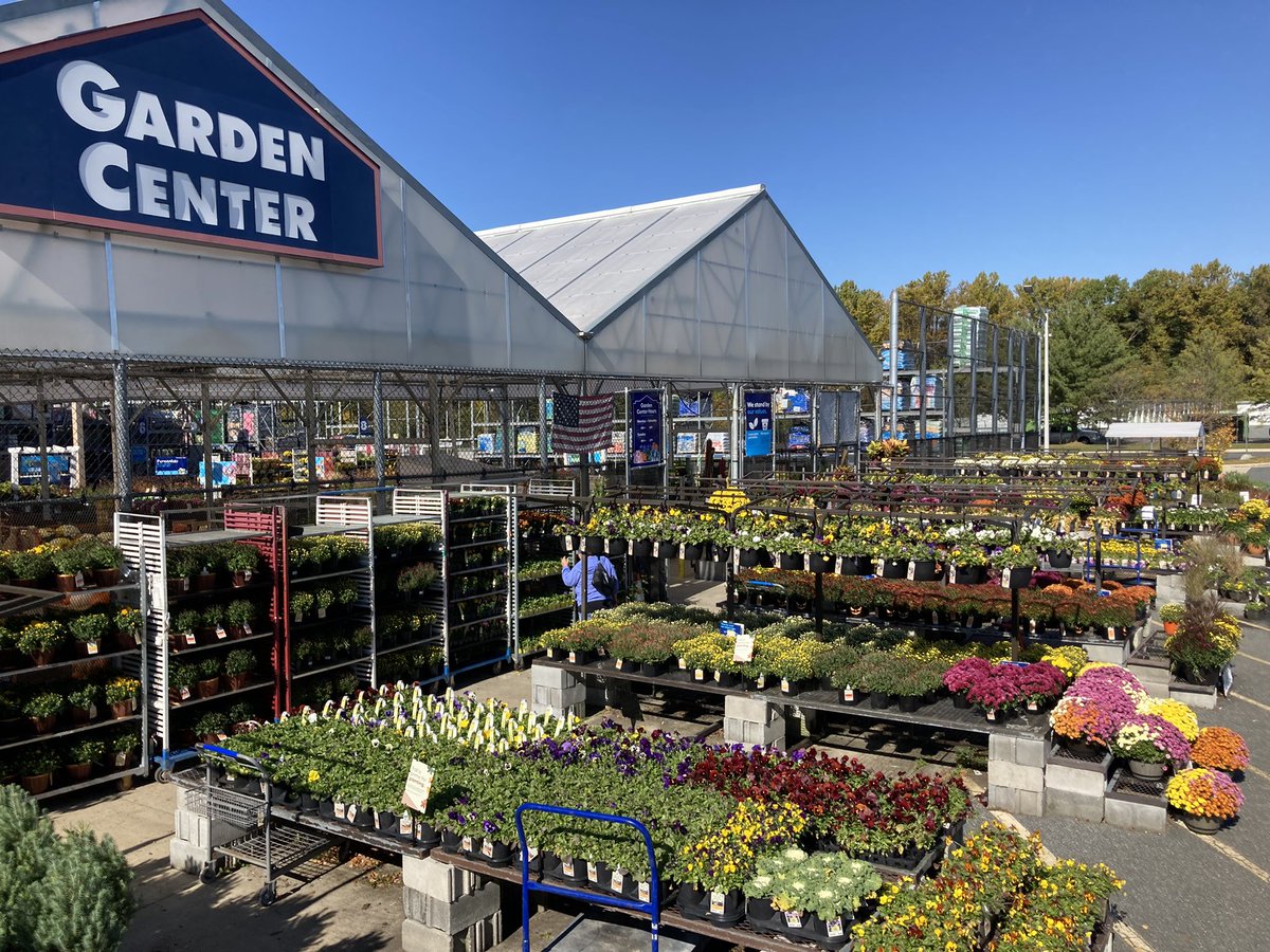 Kate11589687's tweet photo. Hope everyone has a spooktacular weekend #plantpartners #lowes2589 🧟‍♀️🎃👻 https://t.co/qquLdIoOLu