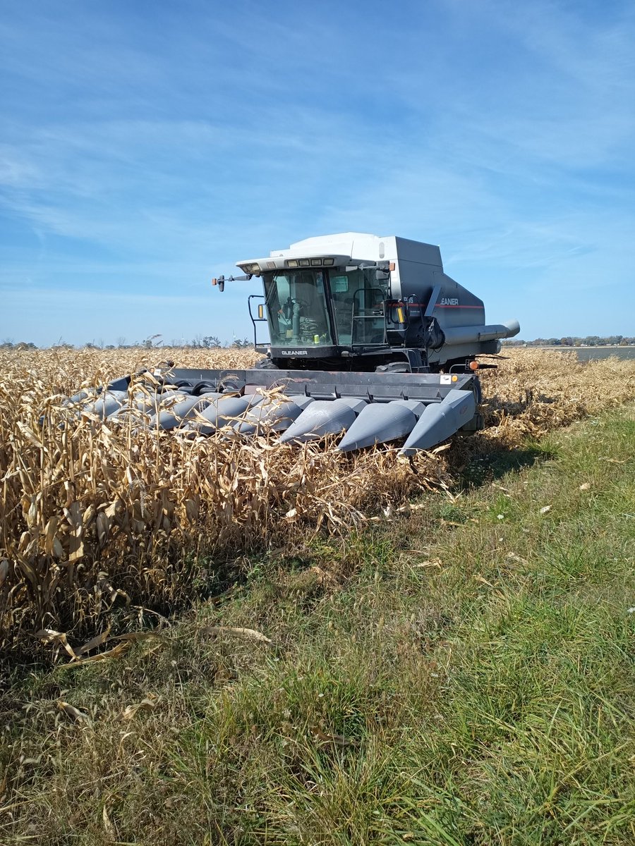 Gus Ternoey tweet media