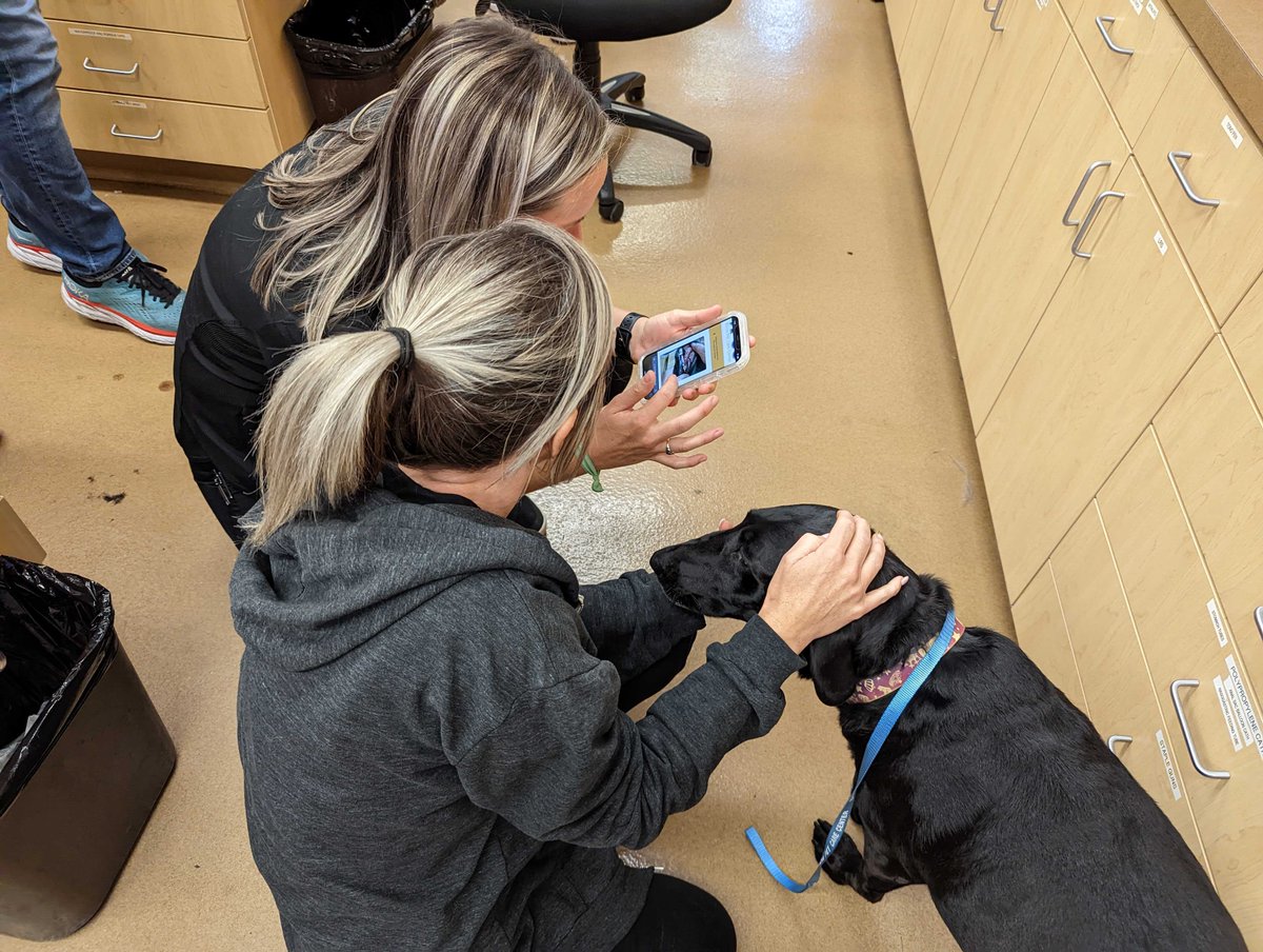 dig_labs's tweet photo. DIG is working to improve dental care for pets by partnering with @APCCvet. Similar to our  Health Check for stool, we've developed an image-based app to provide pet parents with vet-approved dental recommendations and tips! https://t.co/XZkEtagjOk