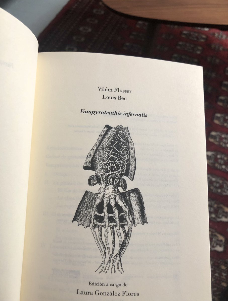 Deni Garciamoreno tweet media