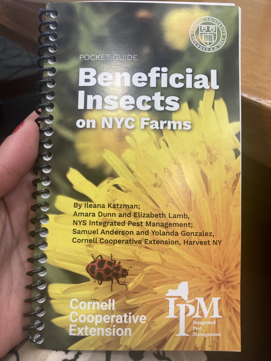 Pocket guide of beneficial insects in NYC farms coming to your computer soon courtesy of @AmaraDunn and my <a href="/Harvest_NY/">CCE Farm to Institution</a> colleagues #SamAnderson and #YolandaGonzalez <a href="/ccecornell/">Cornell Cooperative Extension</a>