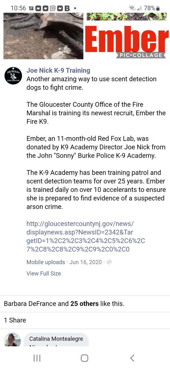 Gloucester County Dems want everyone to pretend that K9Ember wasn't donated,  wasn't a member of the fire department and didn't die a horrible death when his partner left her in a hot vehicle.  
thesunpapers.com/2020/08/03/top…