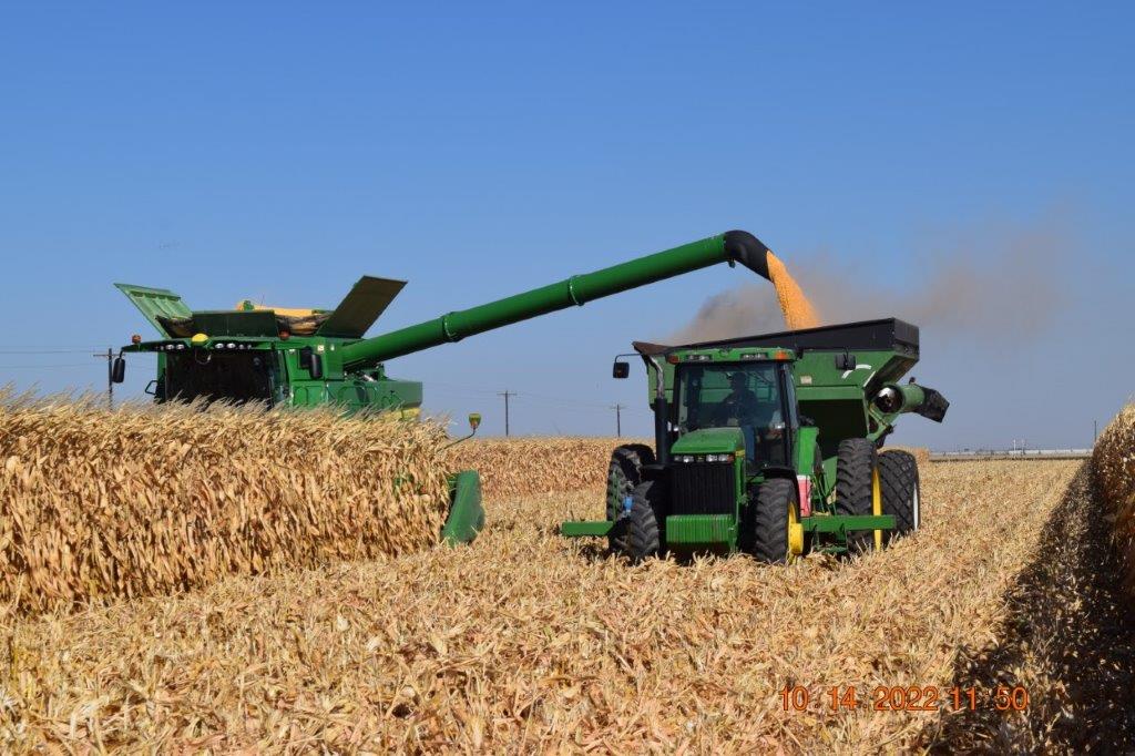 NorthPlainsGCD's tweet photo. We are harvesting corn out at the WCC today! Special thank you to Curtis for taking these awesome photos of the team in action. https://t.co/NHLTDRvvPC