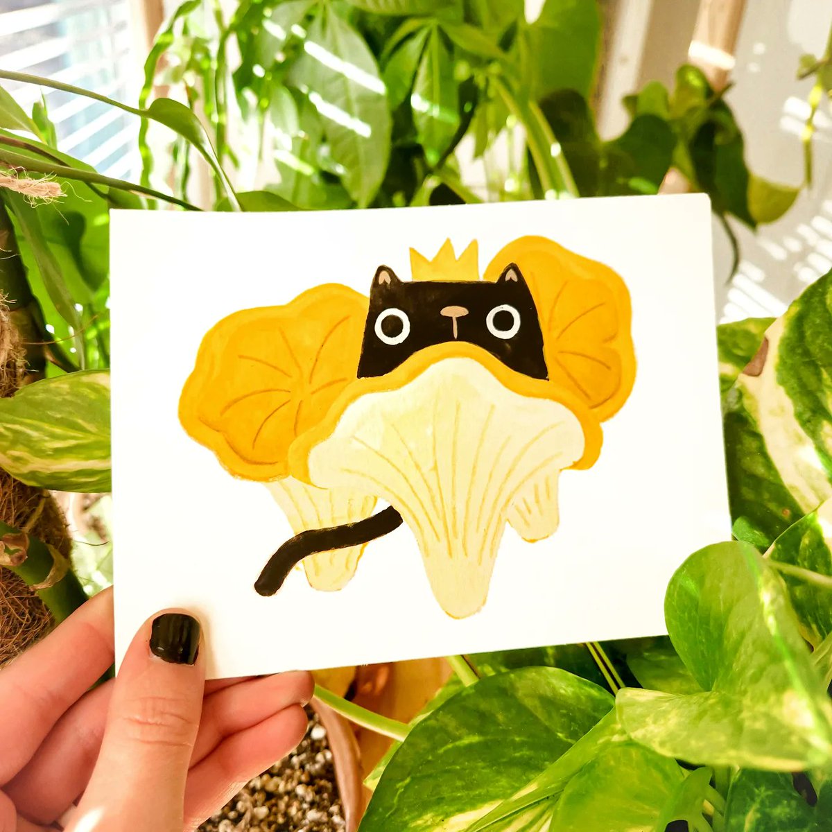 Chanterelle day 21 #shroomtober