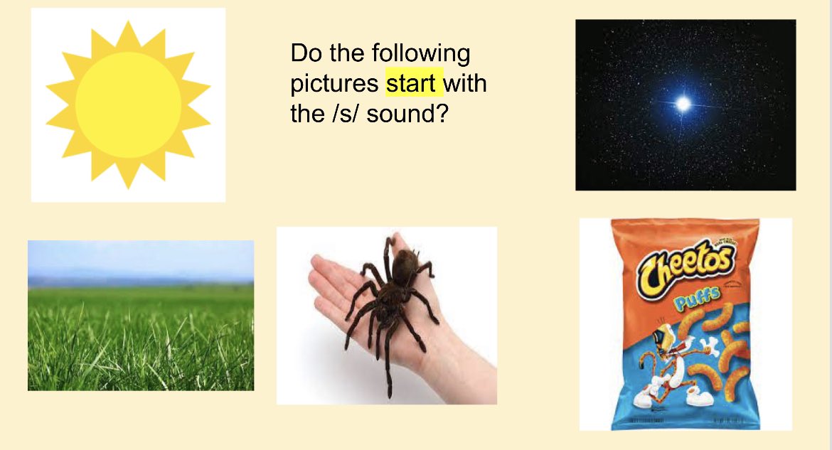 Marija Mousseau tweet media