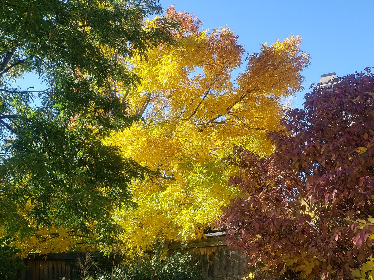 Stephanie Dill 🌻 tweet media