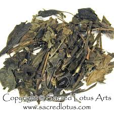 _Woman_health's tweet photo. #Invasivecervicalcancer - Chinese Herbal Medicine #QingDai https://t.co/TwVXHp91ec https://t.co/yjU1XI26zf