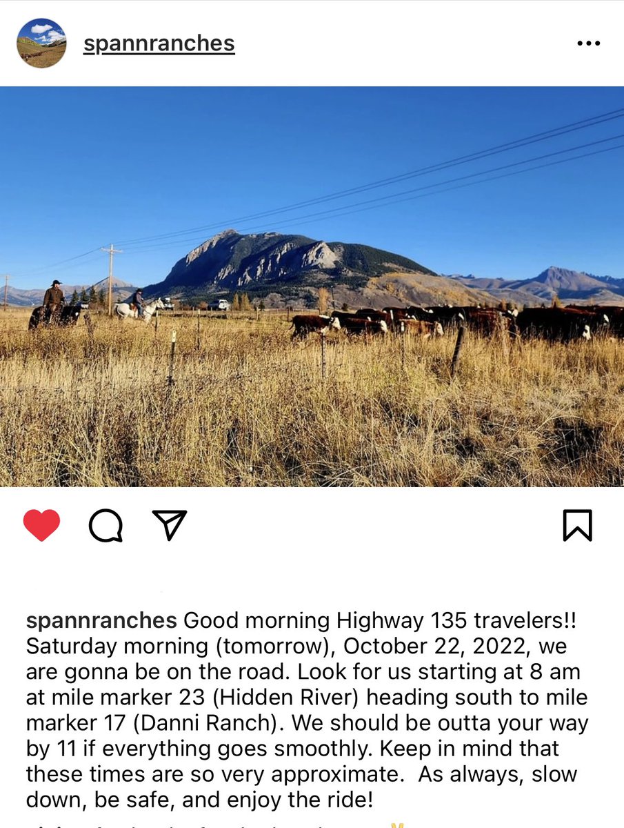 Cattle Drive heading down HWY 135 Sat morning! ⚠️🐮