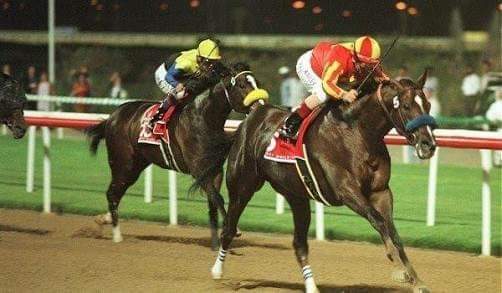 HORSERACING1002's tweet photo. CAPTAIN STEVE 🇺🇸1997
(FLY SO FREE-SPARKLING DELITE BY VICE REGENT)#CaptainSteve https://t.co/oKCDbaOWR3