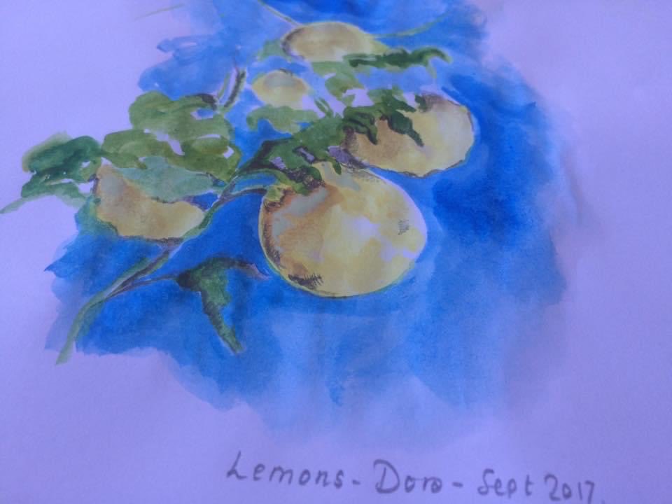 MelanieHewitt61's tweet photo. Dear @bettanyhughes - more lemons for your mother, to complement her favourite soaps. Painted on Corfu, rather than Capri - I hope they capture the spirit of your beautiful programme tonight. A dream of an episode. Grazie 🙏 #ParisToRome #Channel5 https://t.co/ULjKOAJr1s